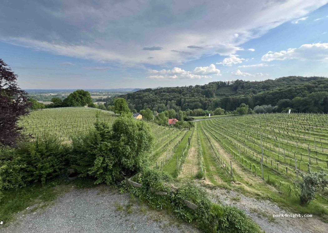 Lenhard Wine.Truffle.Living — foto 5