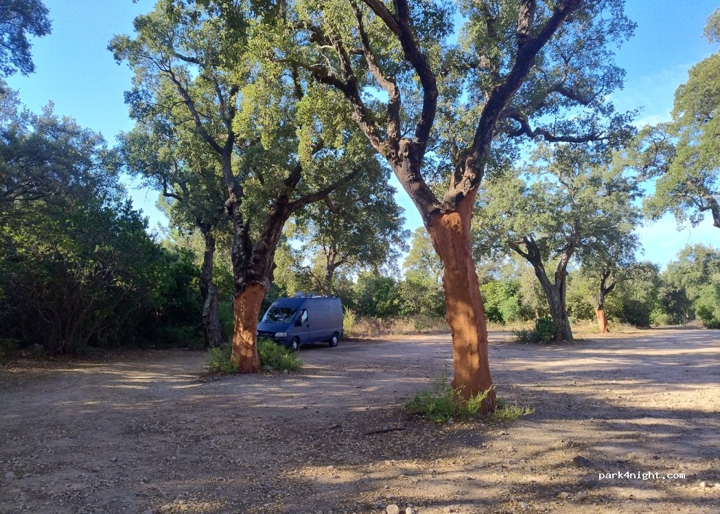 (20170) San-Gavino-Di-Carbini - Poretta — foto 4