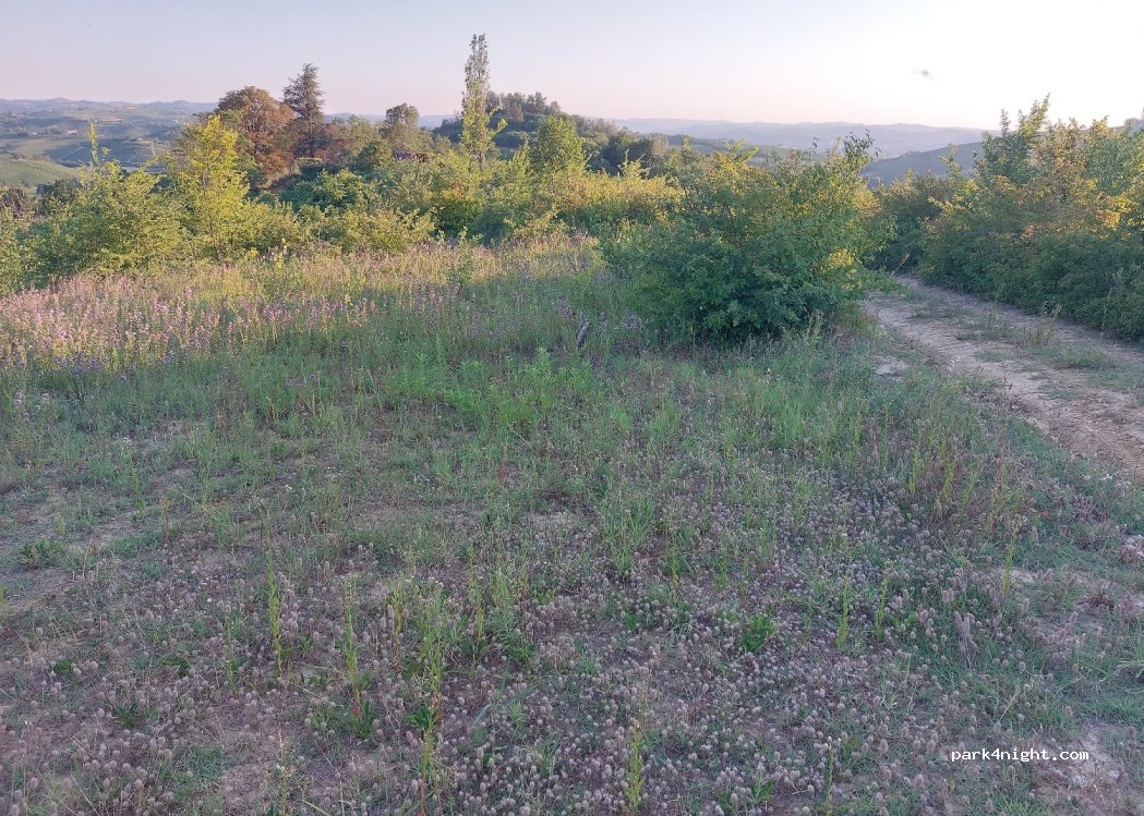 (14043) Castelnuovo Belbo - — foto 3