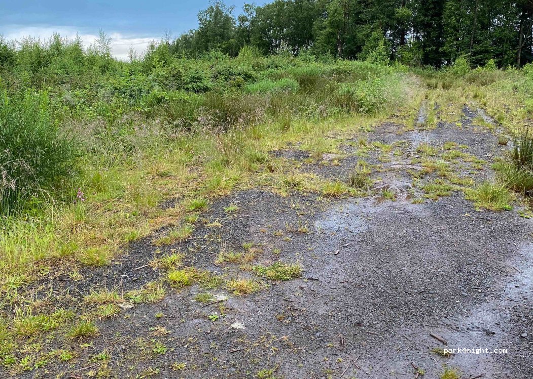 (DG3 5EH) Thornhill - Unnamed Road — foto