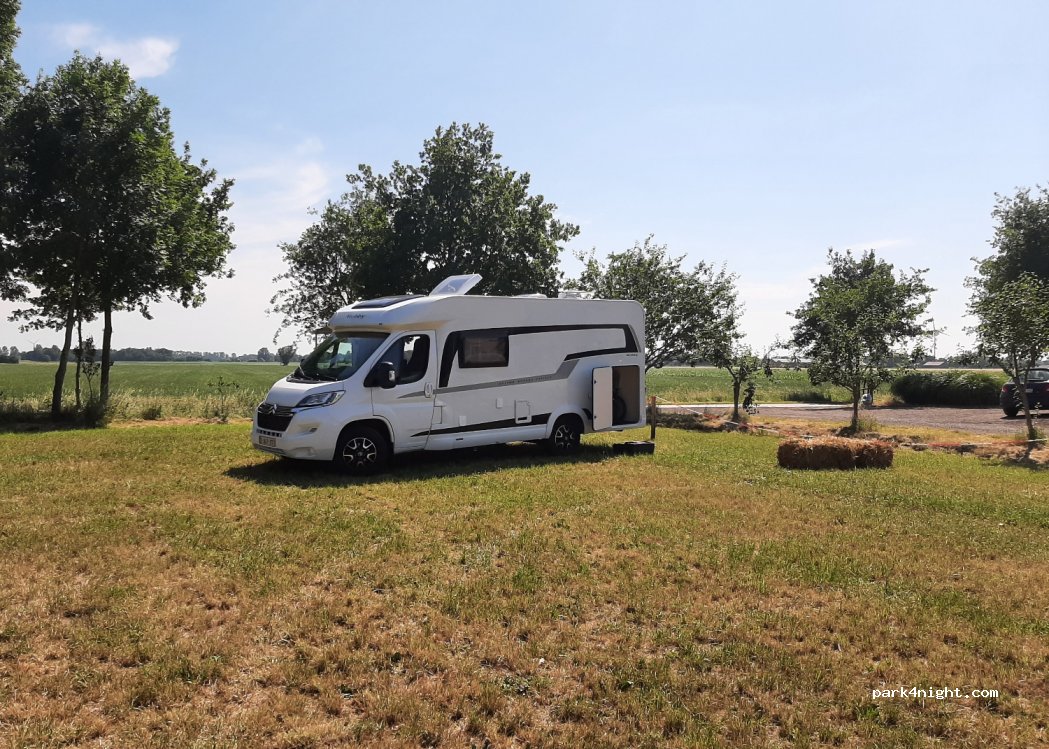 Pop up camping 't Houtland — foto