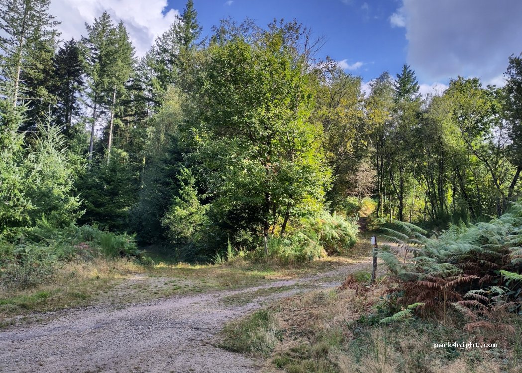 (87340) Saint-Léger-la-Montagne - Unnamed Road — foto 3