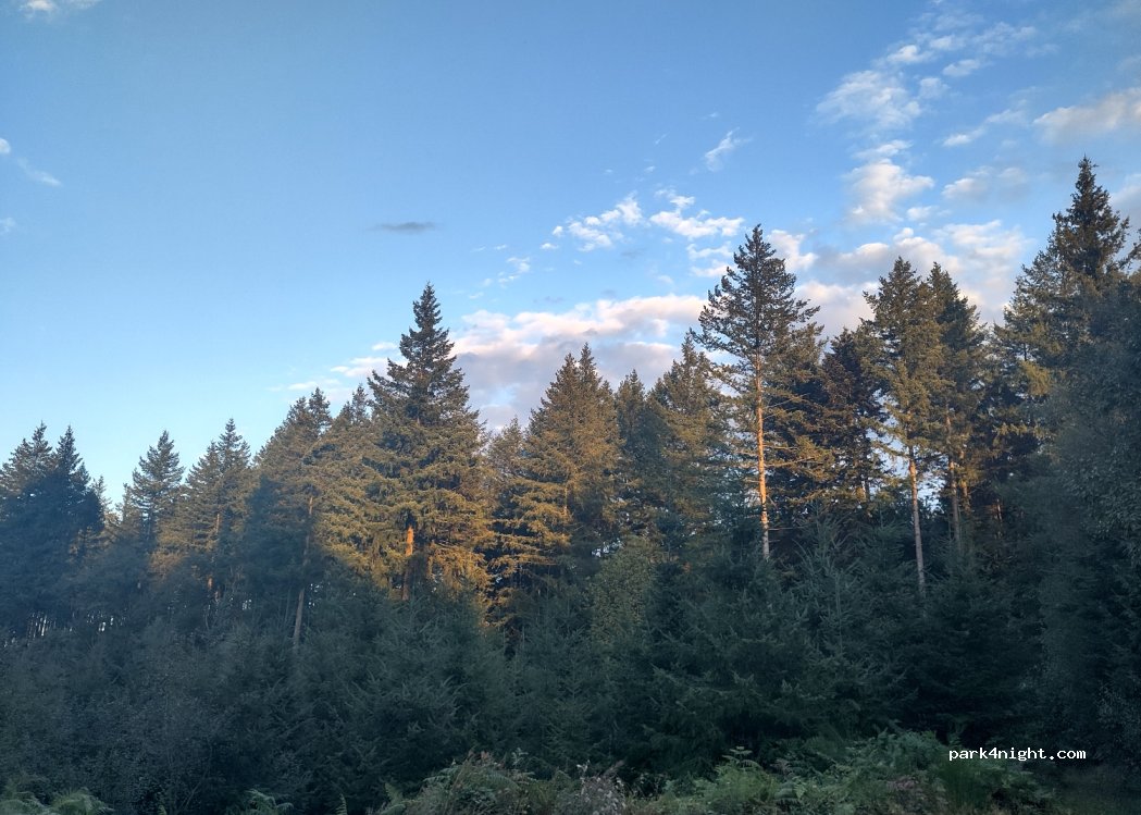 (87340) Saint-Léger-la-Montagne - Unnamed Road — foto 4
