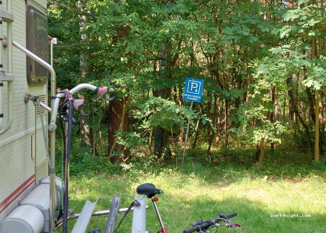 (66) Dąbie - 288 — foto 3