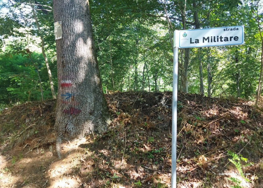 (31040) Giavera del Montello - Via Antonio Gorini — foto 2