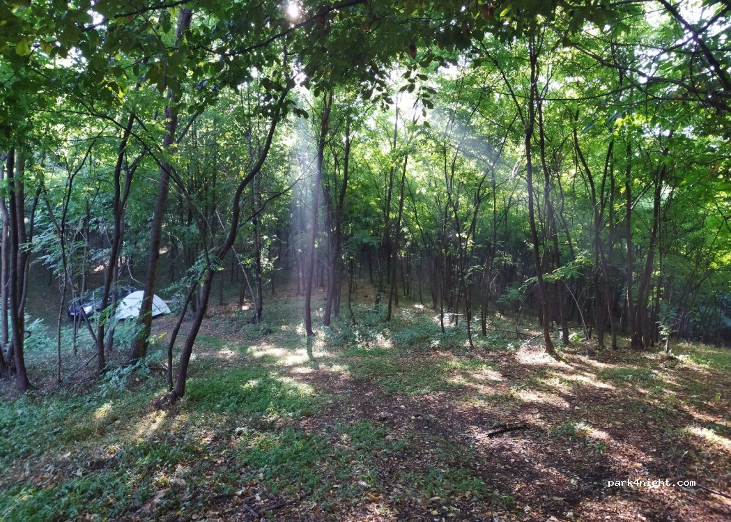 (31040) Giavera del Montello - Via Antonio Gorini — foto 3