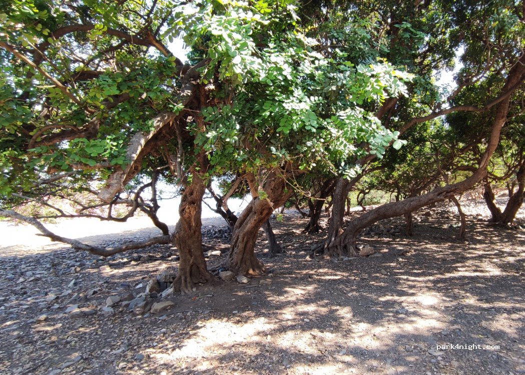 (730 06) Platanias - Unnamed Road — foto 2