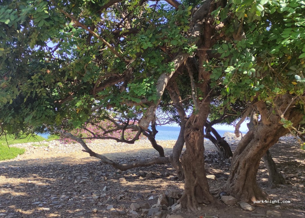 (730 06) Platanias - Unnamed Road — foto 3
