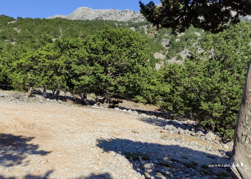 (730 09) Anatolikos Selinos - — foto 2