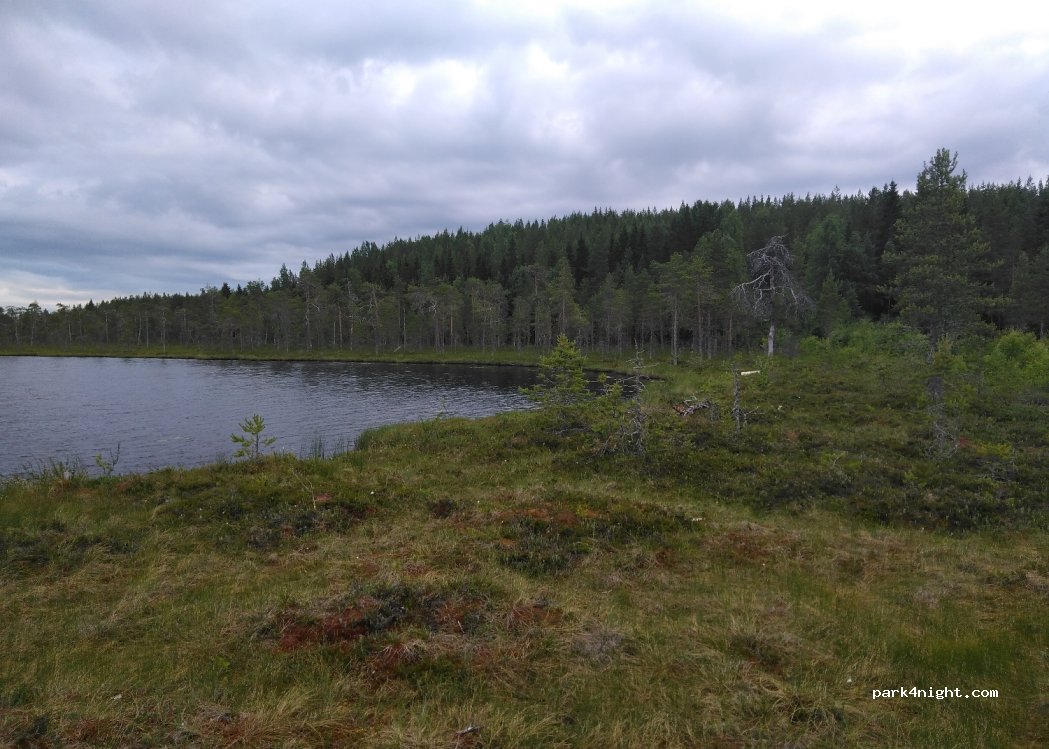 (937 95) Vindeln - Unnamed Road — foto