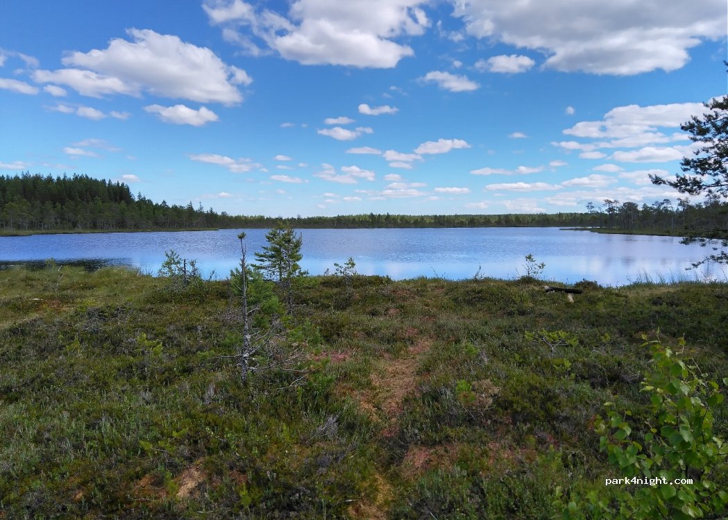 (937 95) Vindeln - Unnamed Road — foto 3