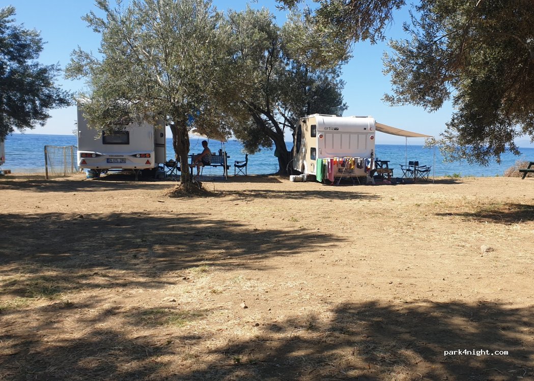 Assos Hekimoğlu Kamping — foto 3