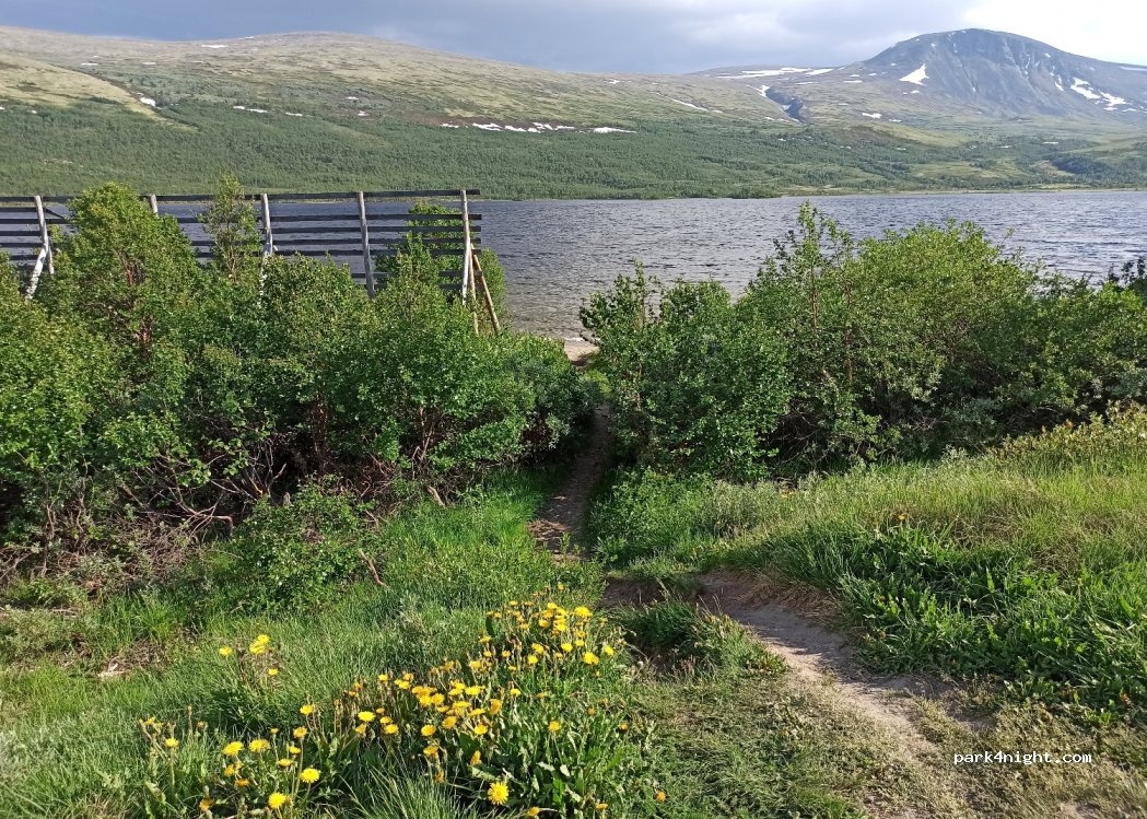 (2660) Hjerkinn - Unnamed road — foto 2