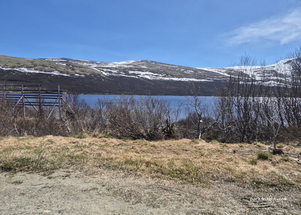 (2660) Hjerkinn - Unnamed road — foto 4