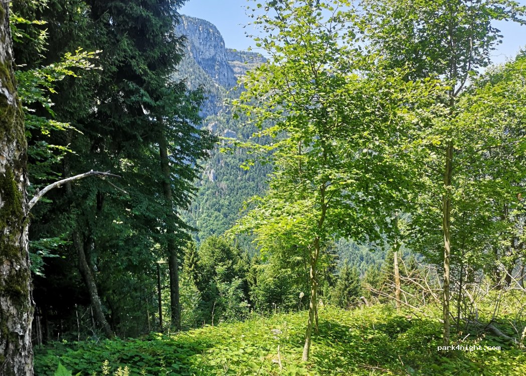 (74570) Fillière - 141 Chemin des Eaux Noires — foto 3