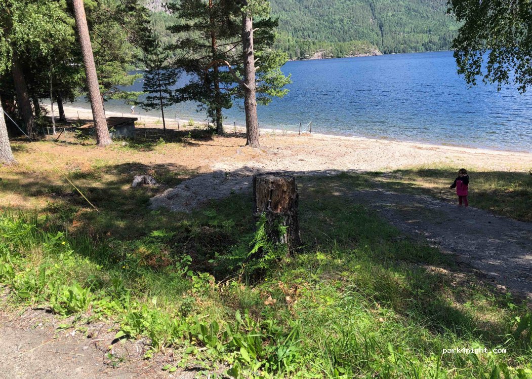 (3850) Kviteseid - 943 Kviteseidvegen — foto 2