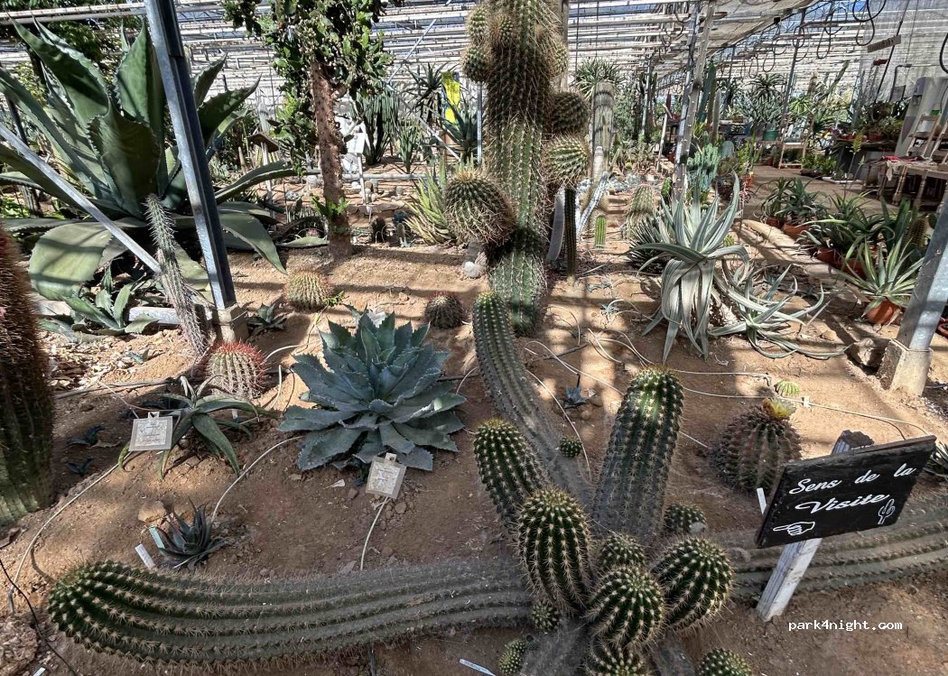 Cactuseraie de Creisméas — foto 5