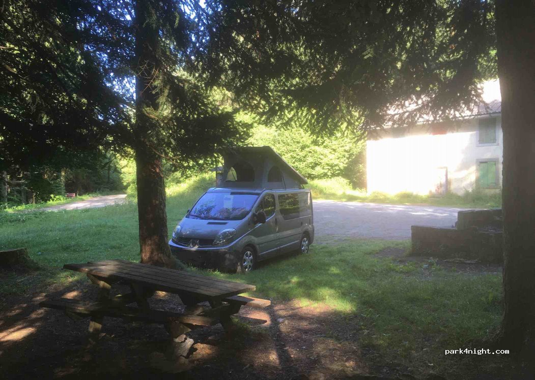 (11340) Roquefeuil - 178 Forêt de Coumefre Ouest — foto