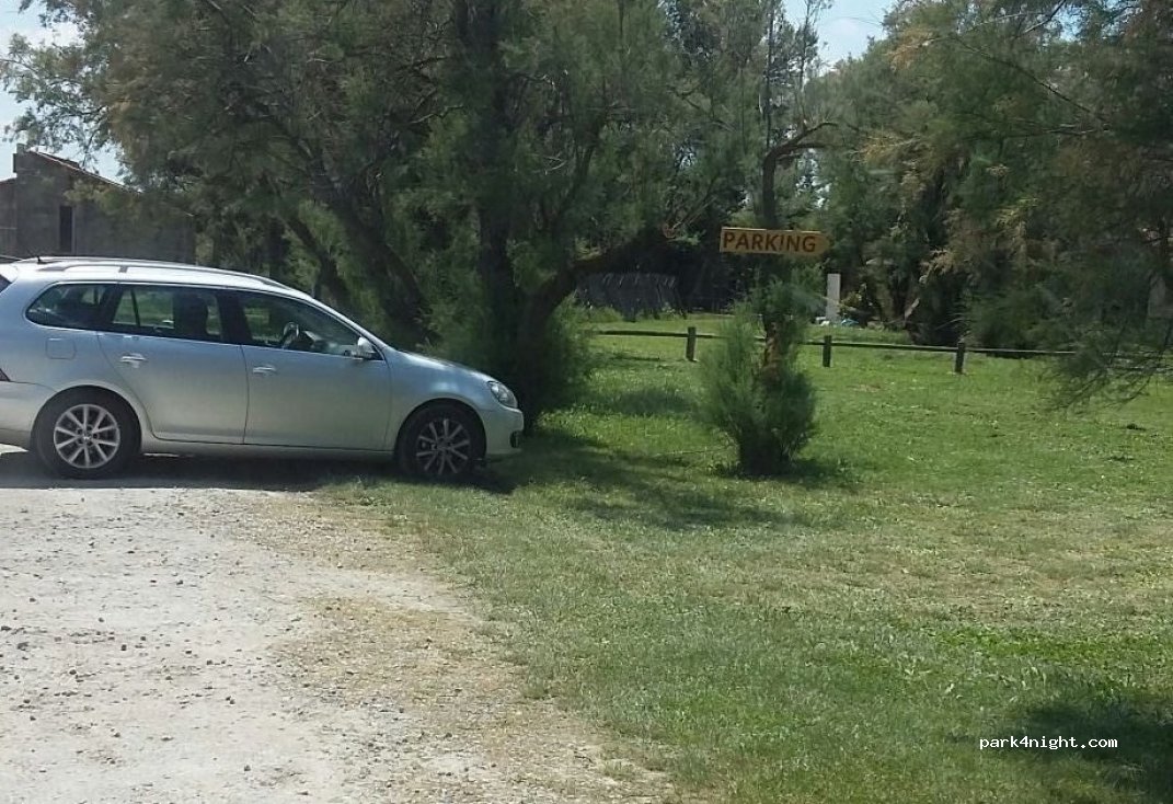 (13123) Arles - Route des Saintes Maries de la Mer — foto 2