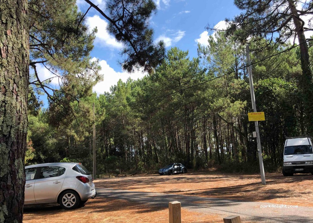(33680) Lacanau - Bernos — foto