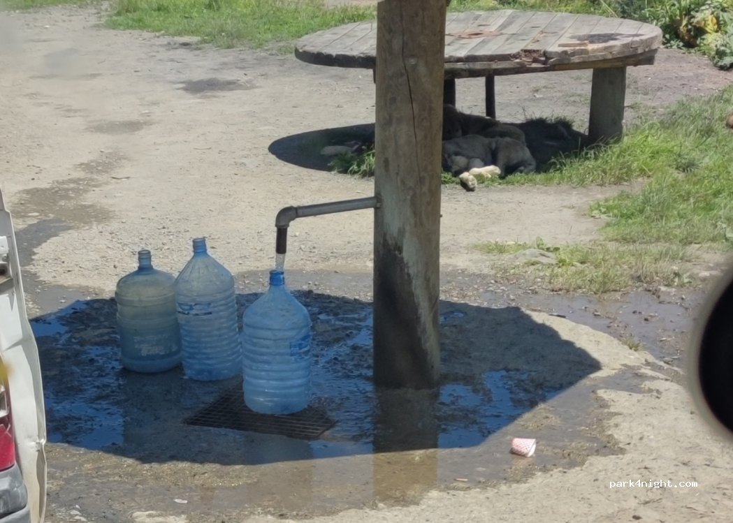 (61750) Maçka - 160 Trabzon Gümüşhane Yolu — foto