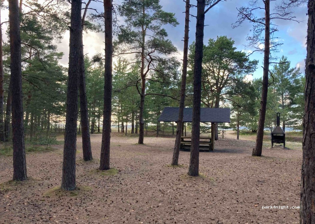 (76705) Harju maakond - Unnamed Road — foto