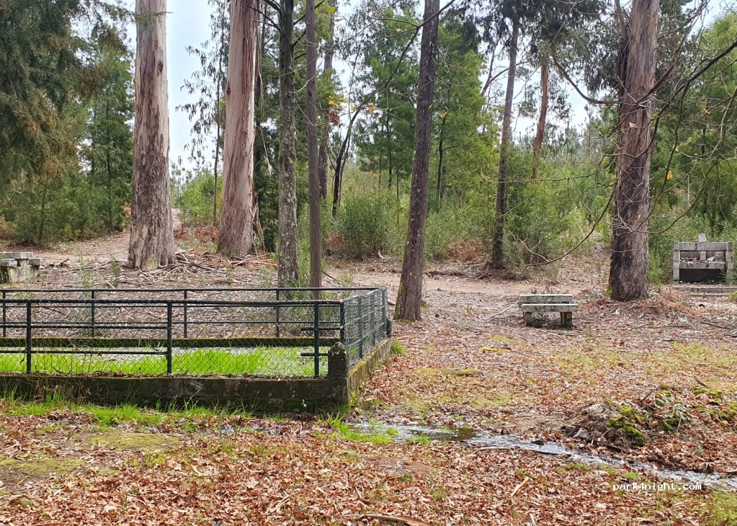 (3510) Viseu - Estrada Florestal de Mozelos — foto 3