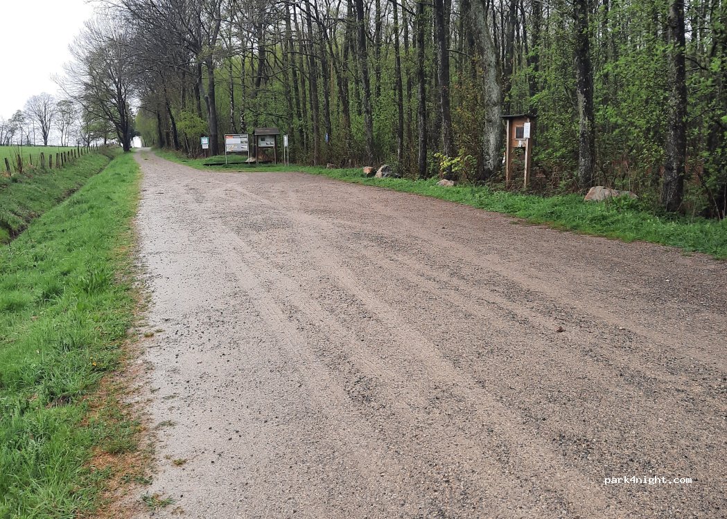 (52393) Hürtgenwald - Unnamed road — foto 2