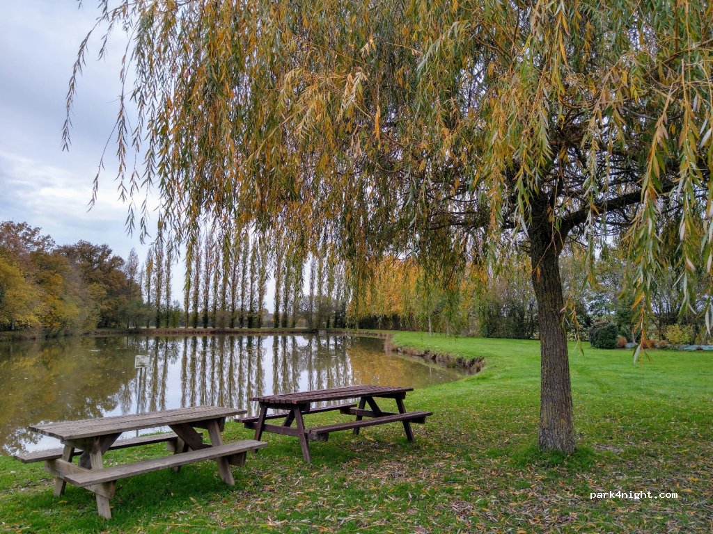 (53200) Ampoigné - D10 — foto 3
