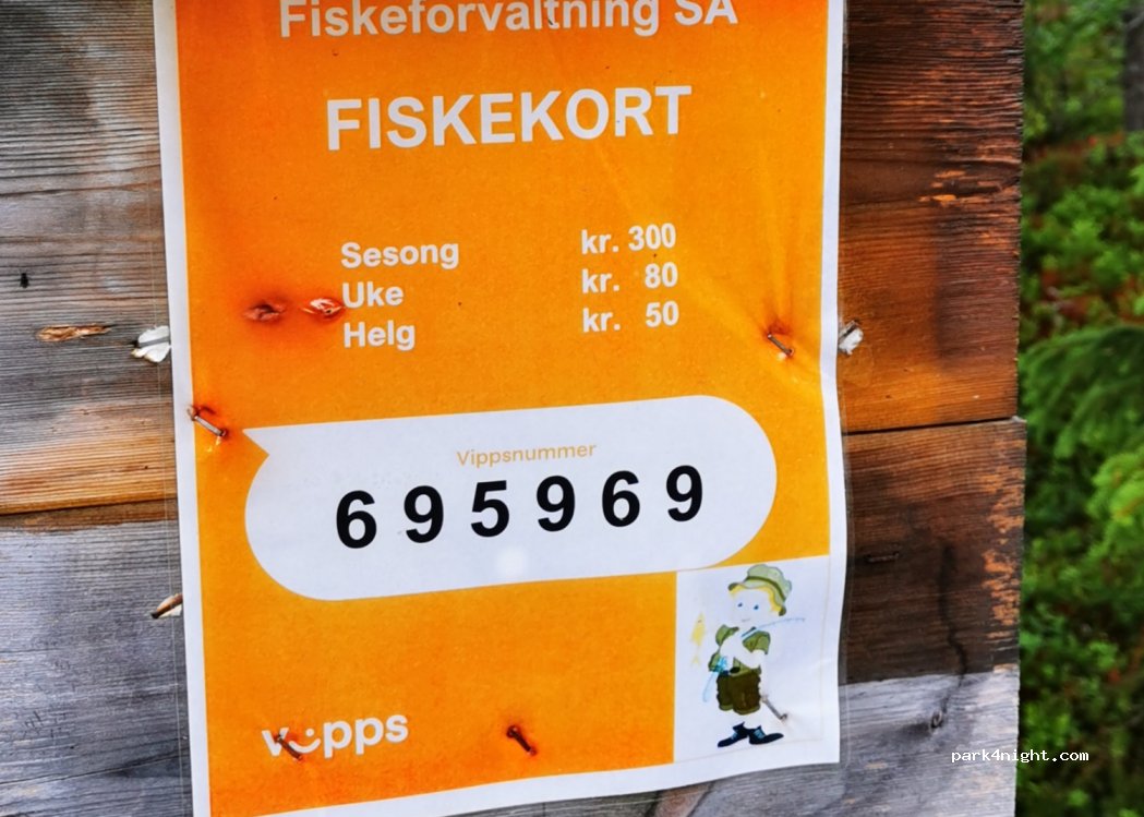 (3540) Nesbyen - 2049 Vassfarvegen — foto 2