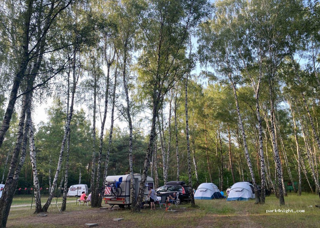 Camping Borzewew — foto 3