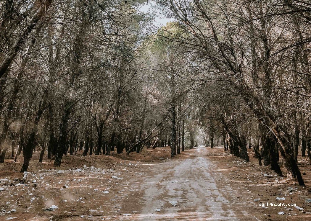 Eco Camping Valona — foto 2