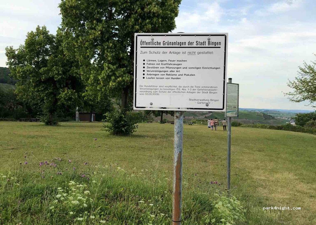 (55411) Bingen am Rhein - 6 Elisenhöhe — foto