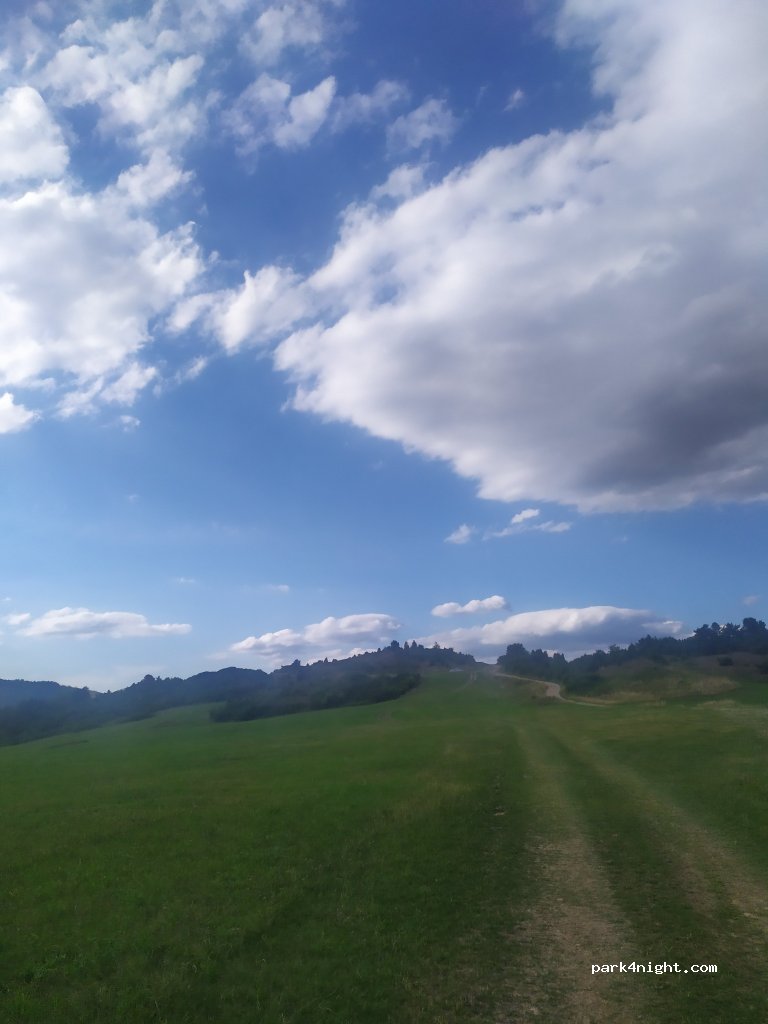 (065 31) Jarabina - — foto 3