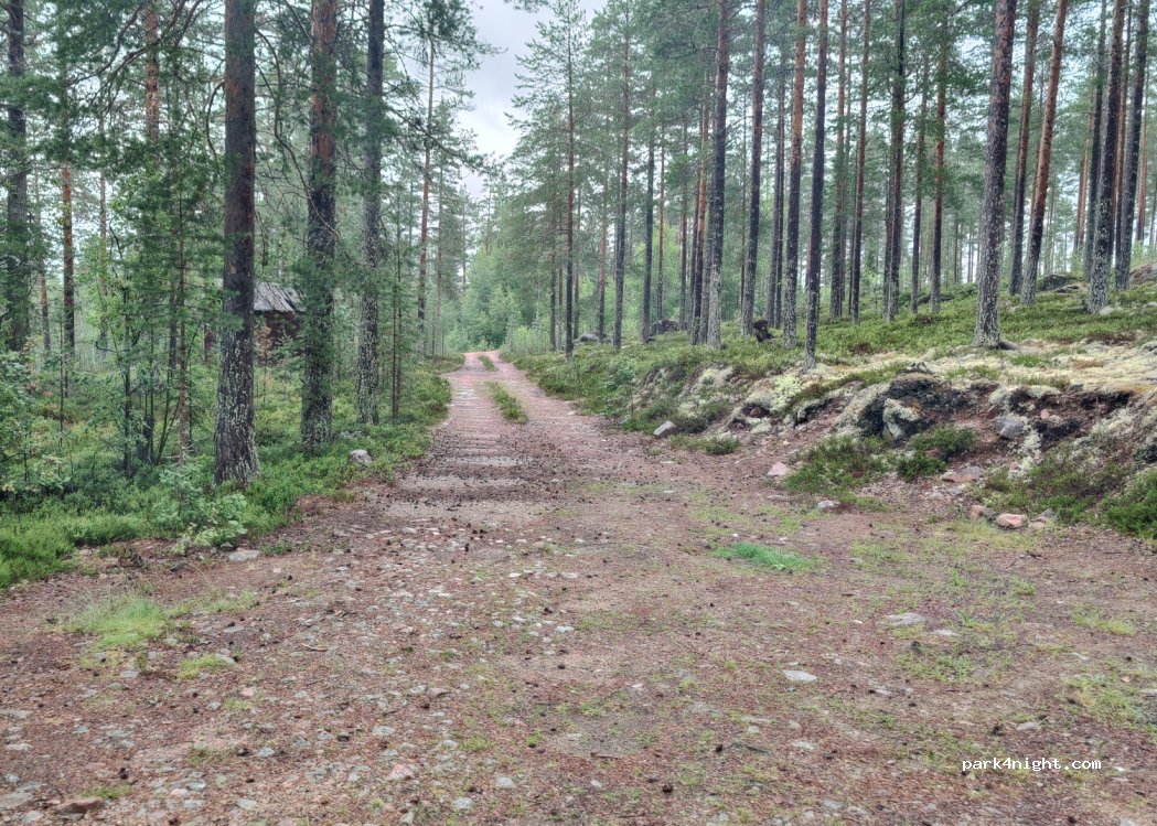(820 50) Jamtland - Unnamed road — foto 4