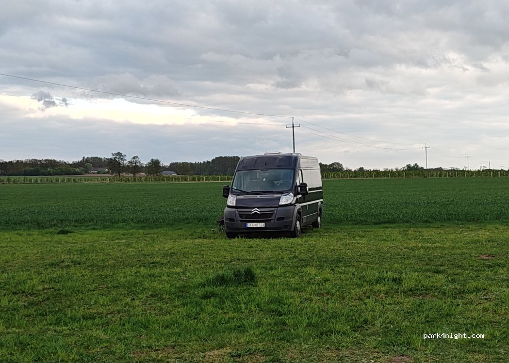 Pole Biwakowe Sadówka — foto 4