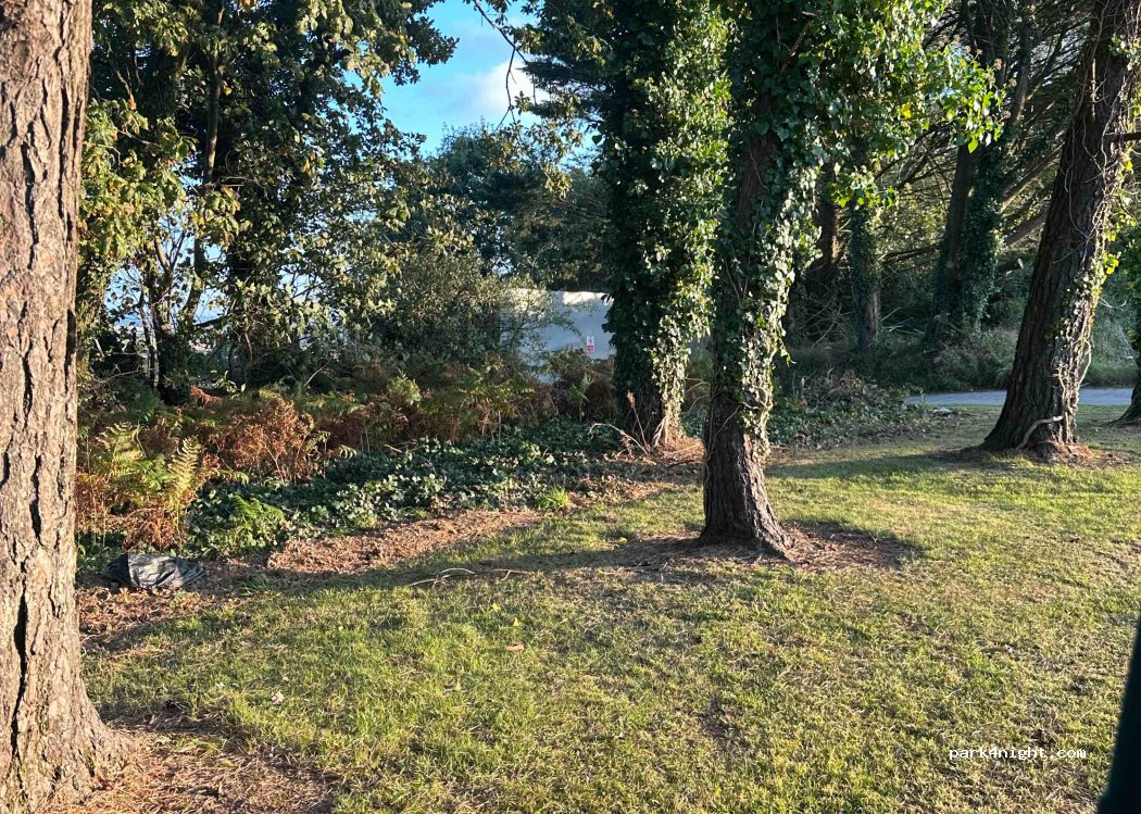 (PL12 6LD) Saltash - Unnamed road — foto 4