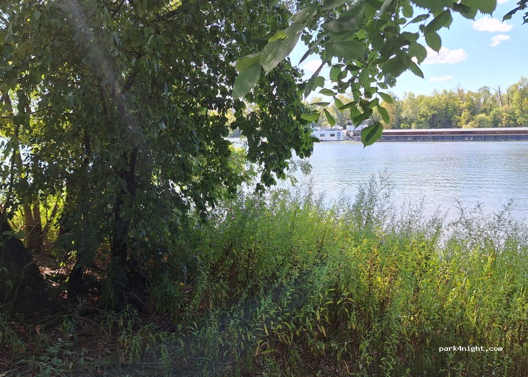 (01480) Saint-Bernard - — foto 3