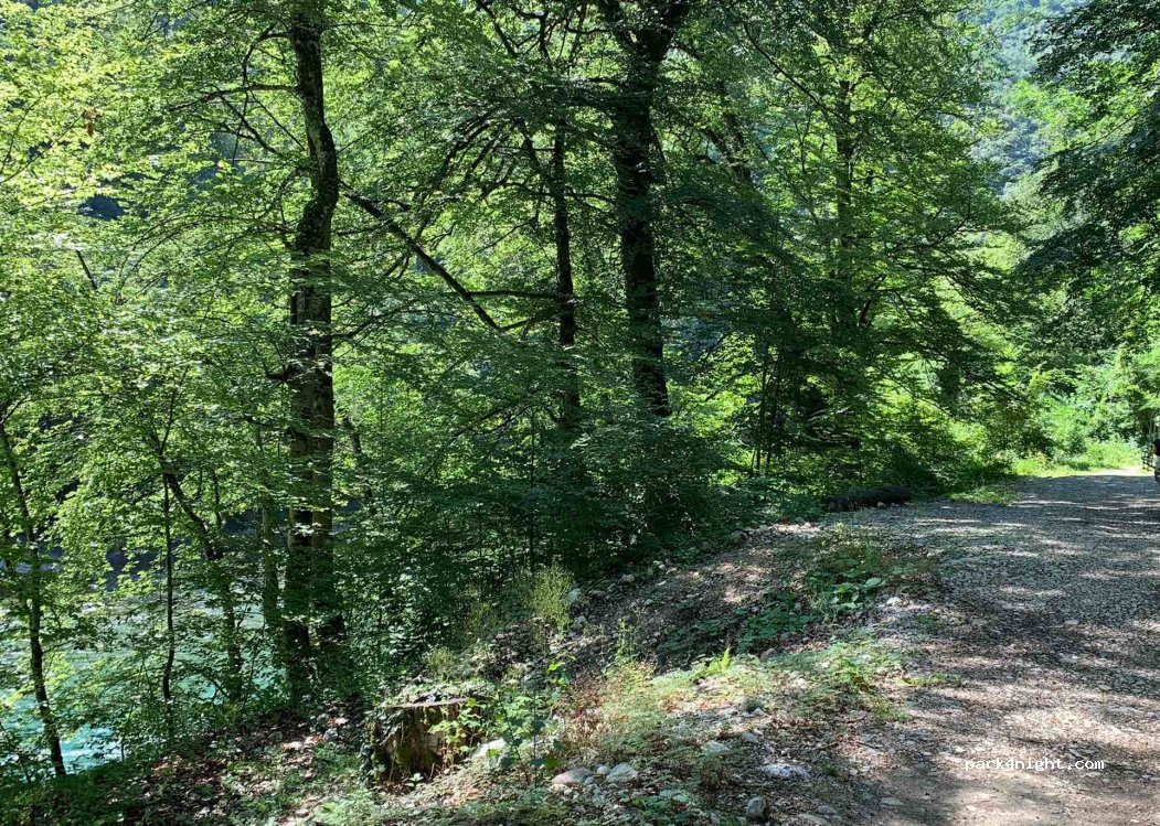 (73300) Crkvičko polje - — foto 3