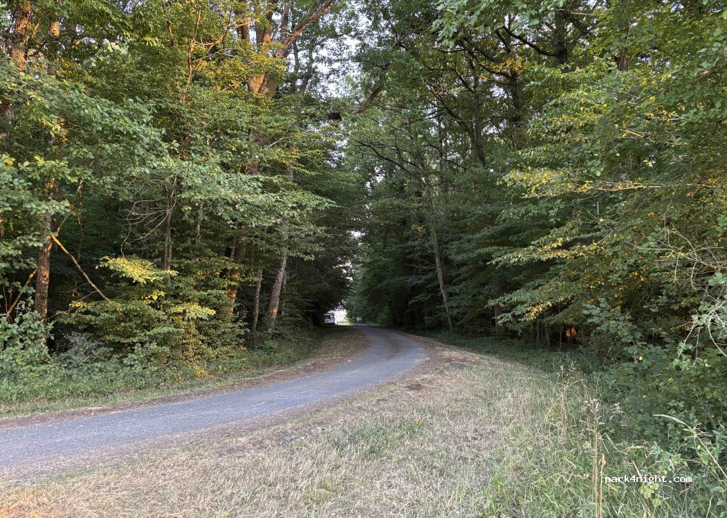 (41000) Saint-Sulpice-de-Pommeray - 147 La Folie — foto 4