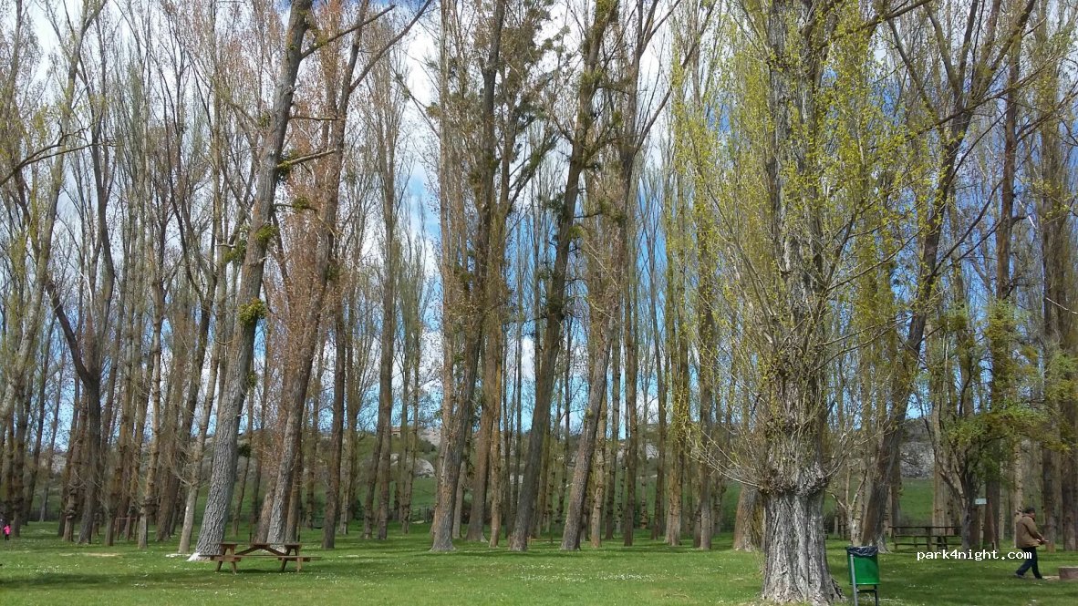 (42190) Soria - Unnamed Road — foto