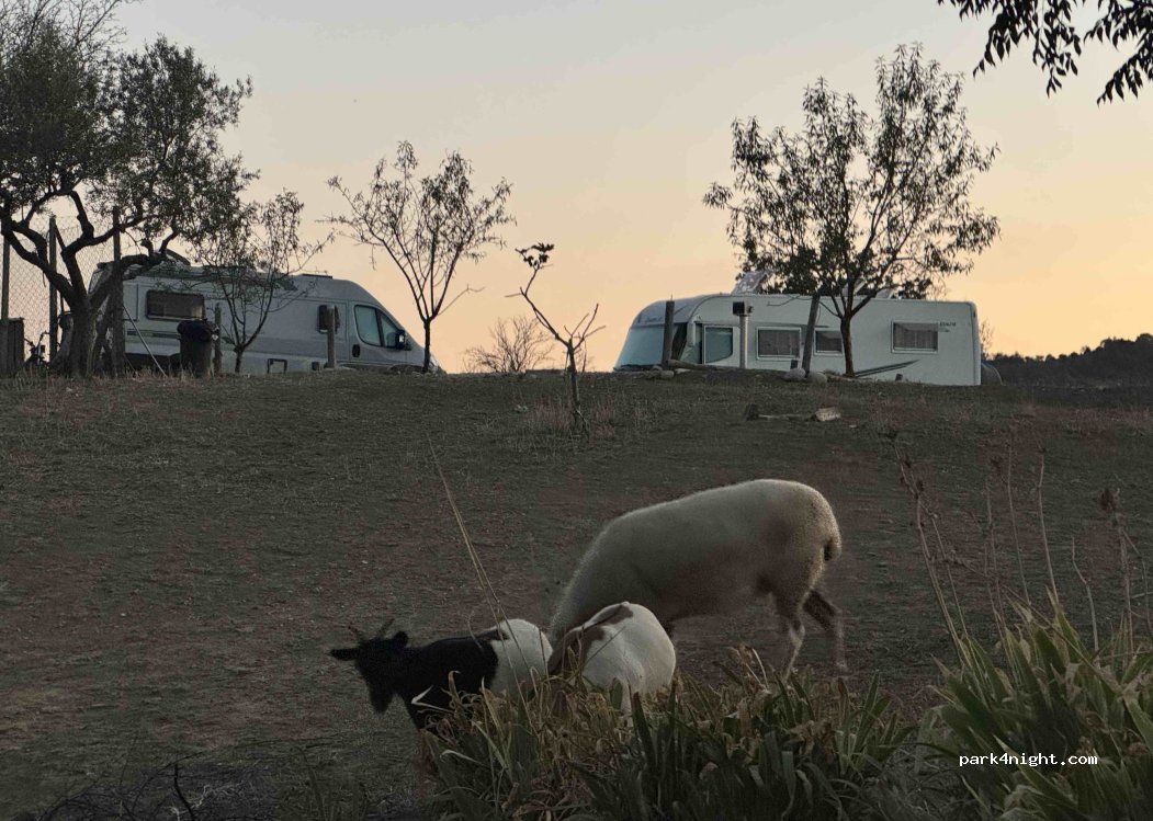 Agriturismo Aia Della Foresta — foto 5