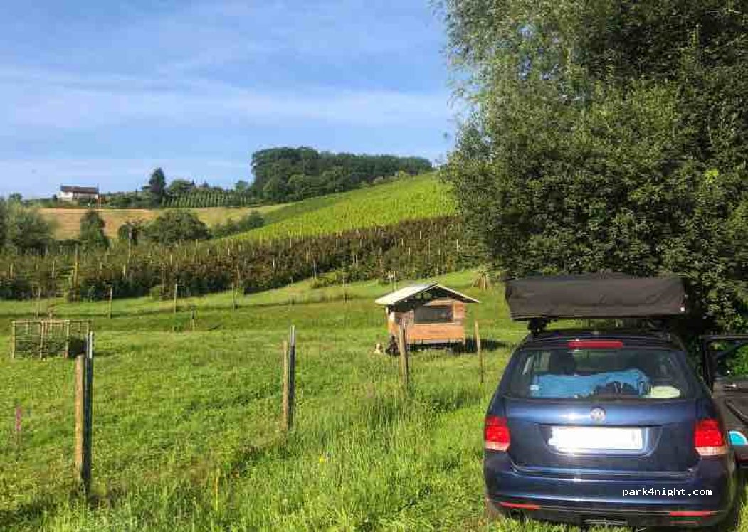 (77704) Oberkirch - — foto 3