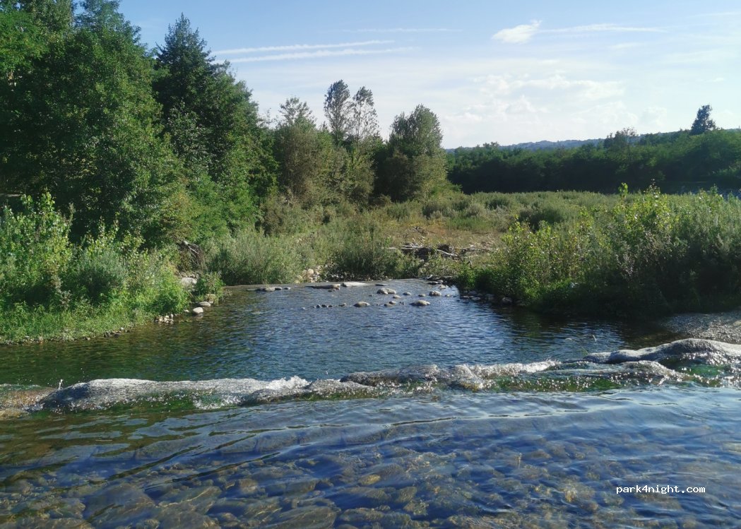 (13888) Mongrando - — foto 4