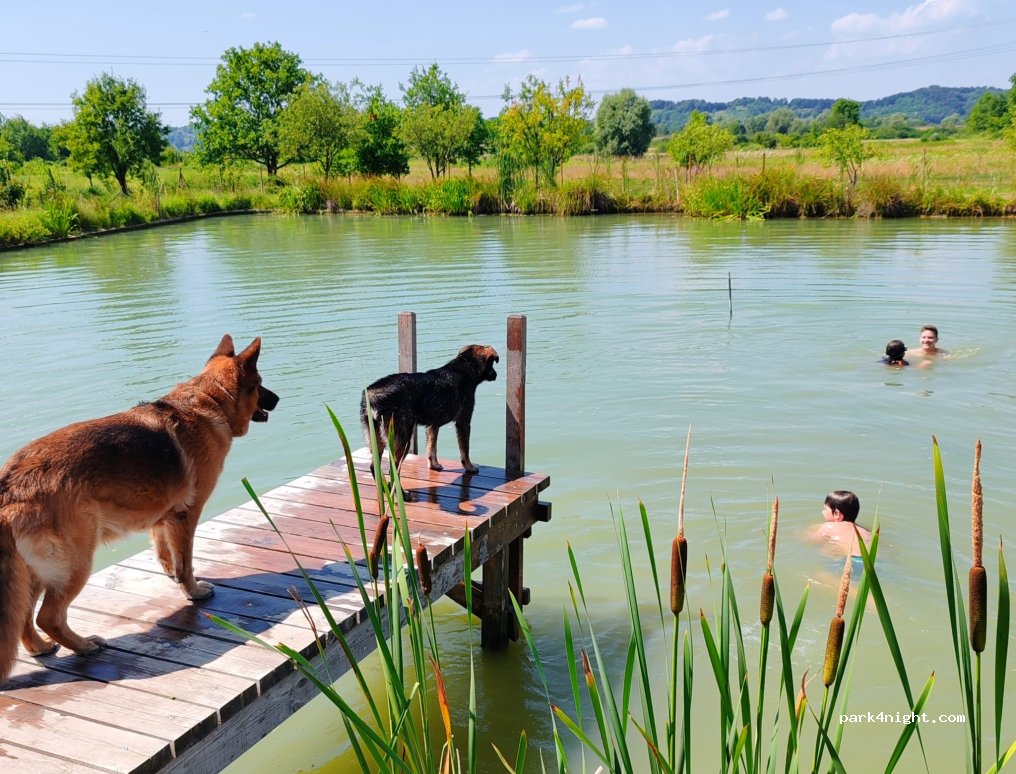 Camping Brcko — foto 3