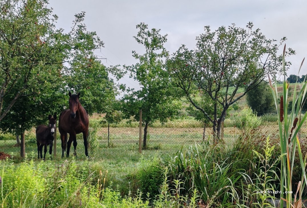 Camping Brcko — foto 4
