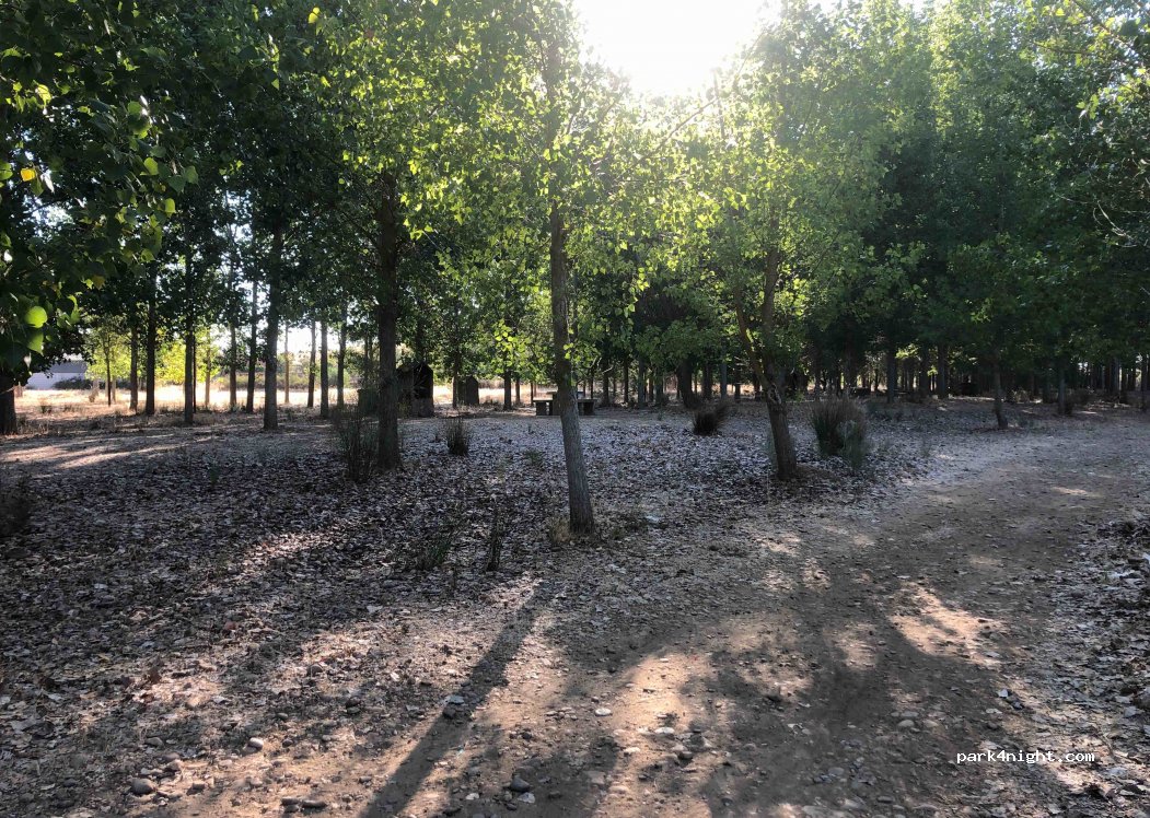 (06820) Don Álvaro - — foto 2