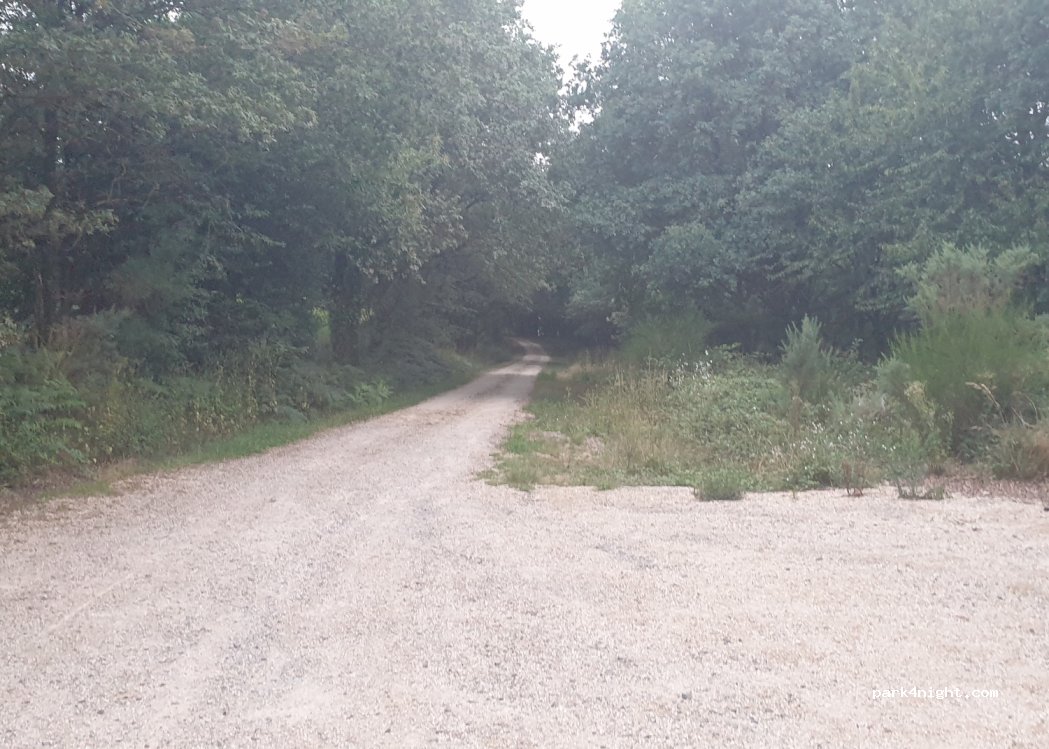 (85590) Saint-Mars-la-Réorthe - — foto 2