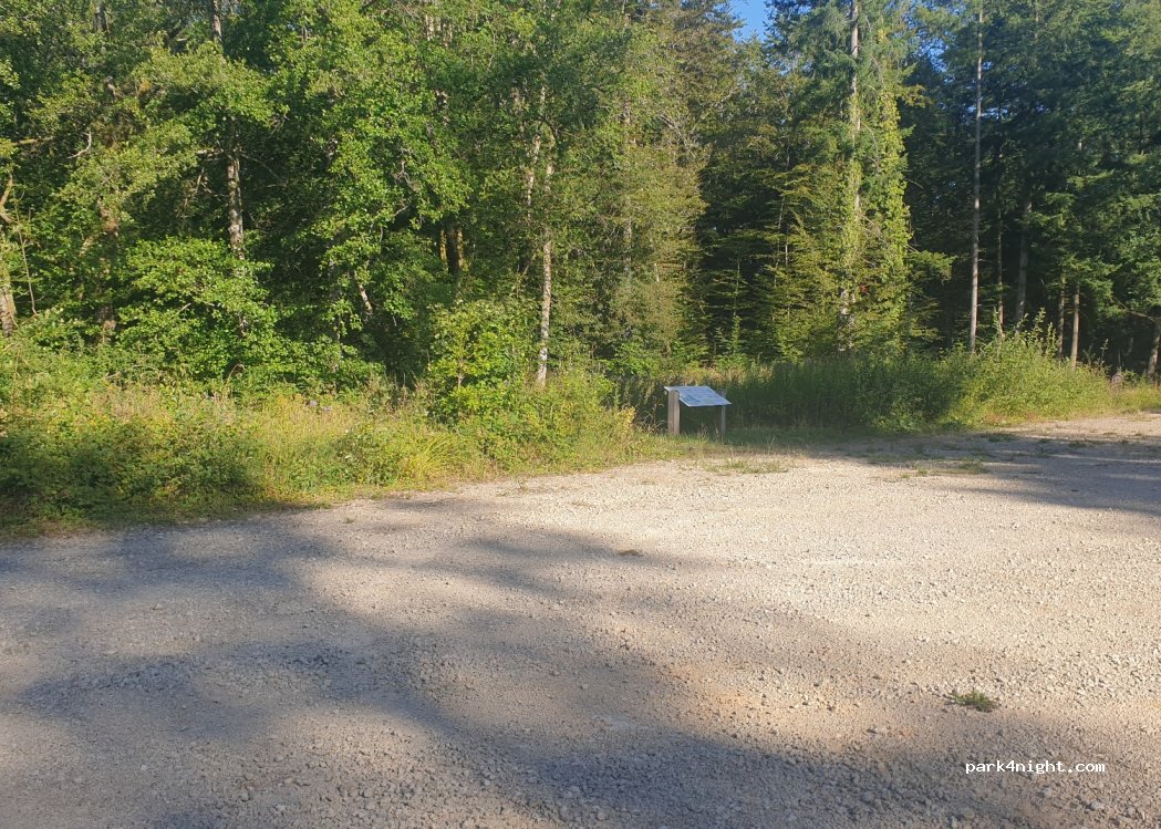 (52400) Parnoy-en-Bassigny - Rte Forestiere de Vaudainvilliers — foto 2