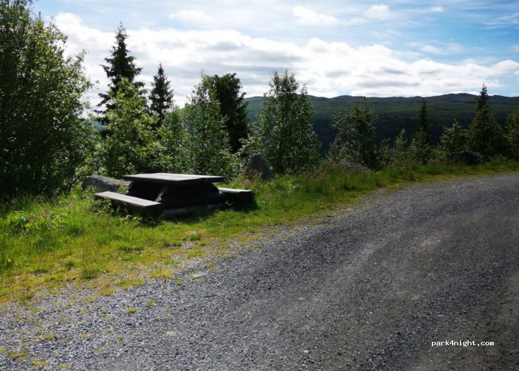 (2880) Nord-torpa - Sekundær Fylkesveg 2442 — foto